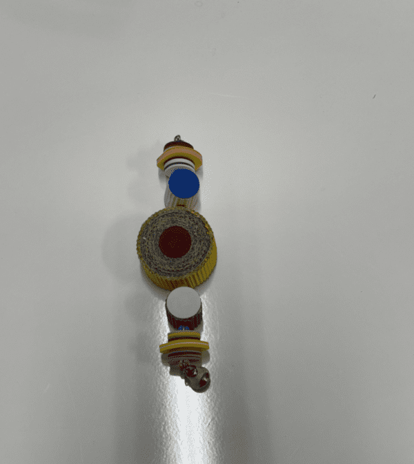 A Round Up bracelet with a red, yellow and blue button.